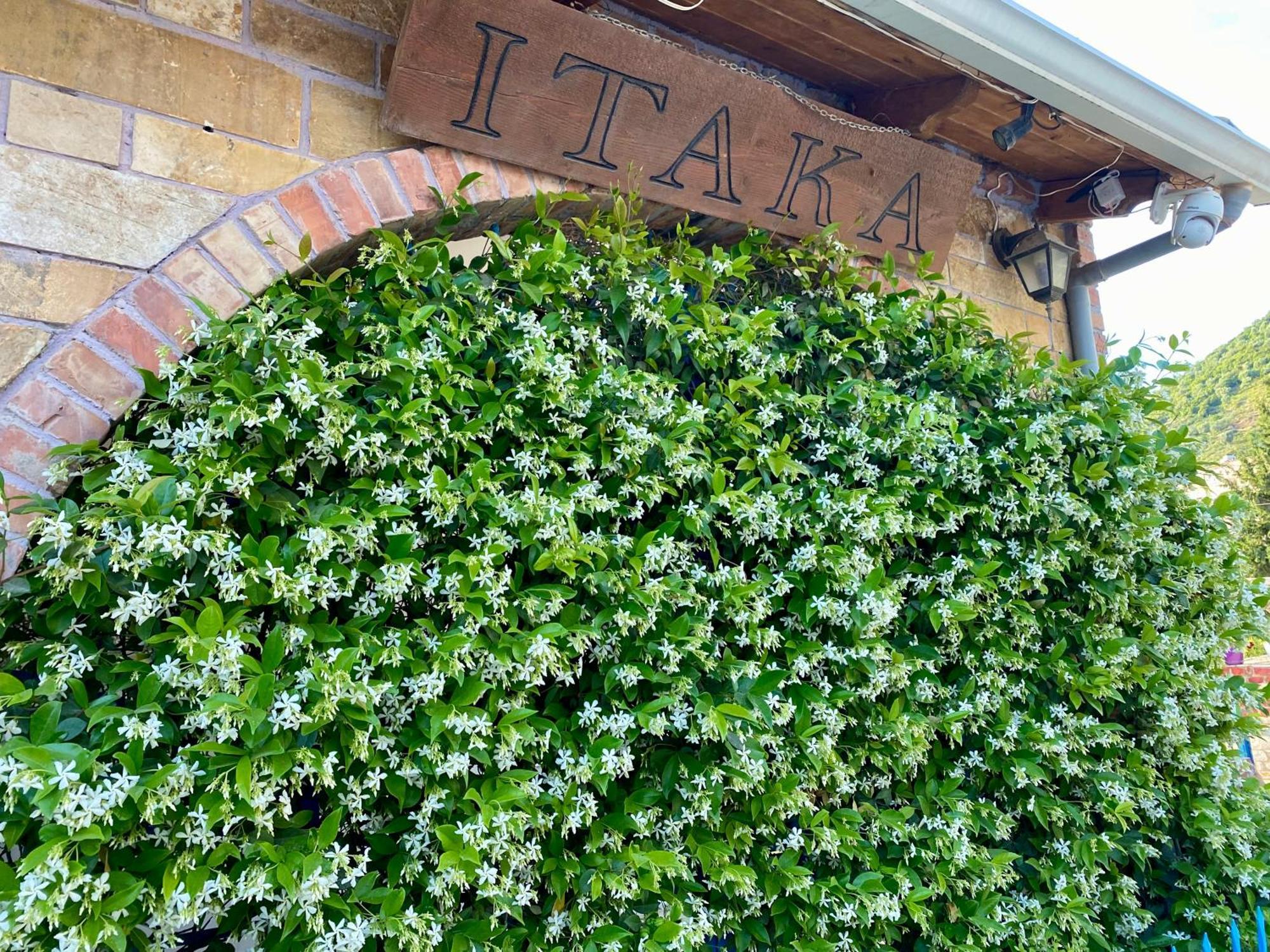 Itaka Hotel Lukova Exterior foto